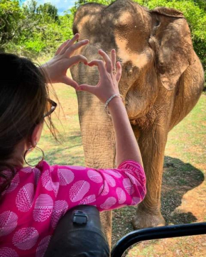 Elephant Safari Lodge